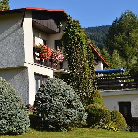 Apartman Braun Рокитніце-над-Їзероу Номер фото