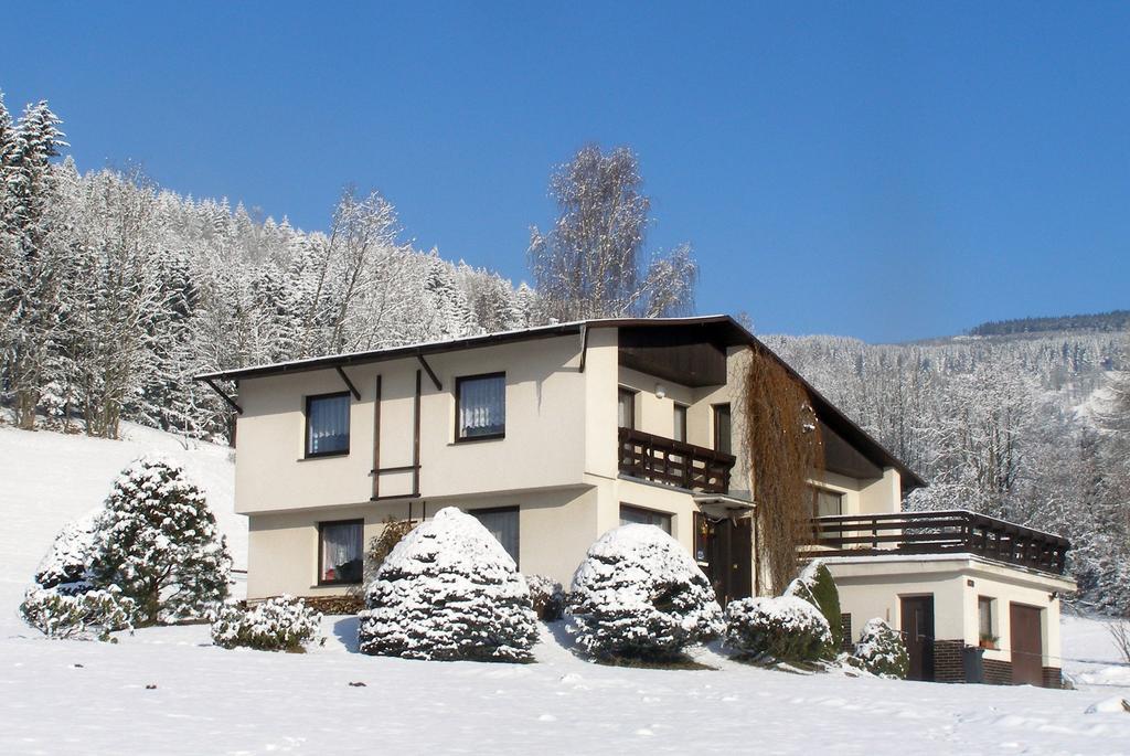 Apartman Braun Рокитніце-над-Їзероу Номер фото